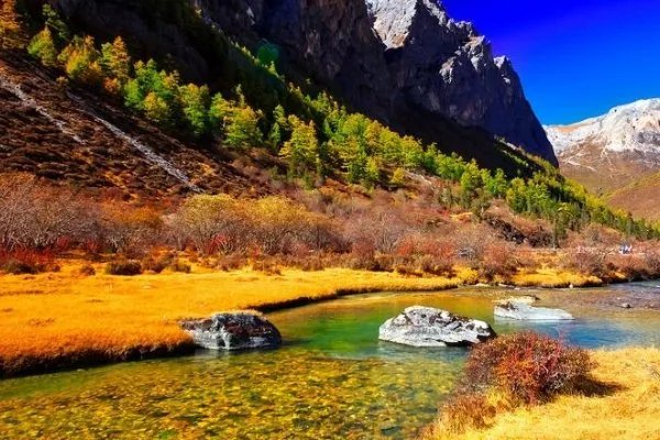 稻城亚丁部分游客被半路劝返，这是怎么回事？