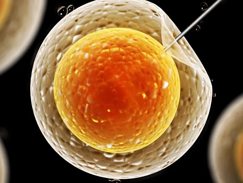 宫外孕多少天有症状