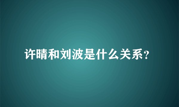 许晴和刘波是什么关系？