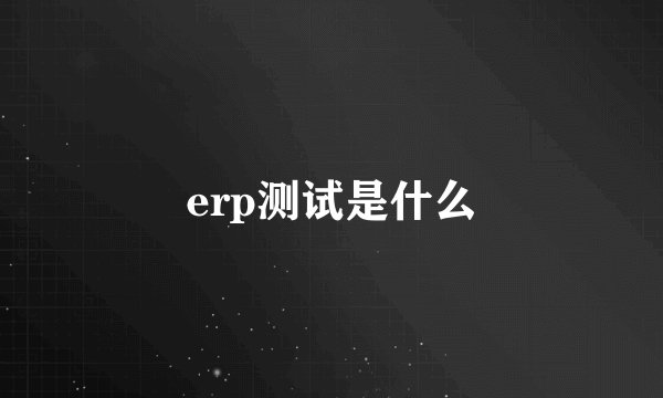 erp测试是什么