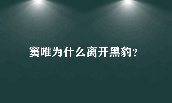窦唯为什么离开黑豹？