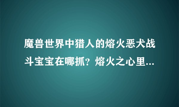 魔兽世界中猎人的熔火恶犬战斗宝宝在哪抓？熔火之心里的不能抓啊