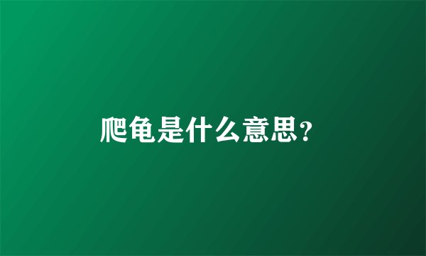 爬龟是什么意思？