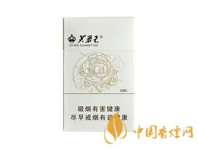 芙蓉王烟价格表和图片 芙蓉王领航多少钱一包