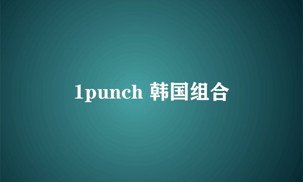 1punch 韩国组合