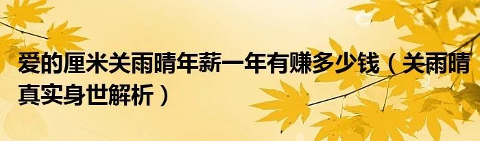 爱的厘米关雨晴年薪一年有赚多少钱（关雨晴真实身世解析）