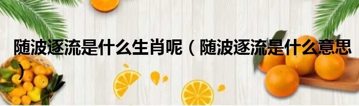 随波逐流是什么生肖呢（随波逐流是什么意思）