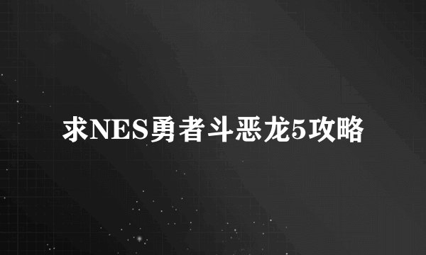 求NES勇者斗恶龙5攻略