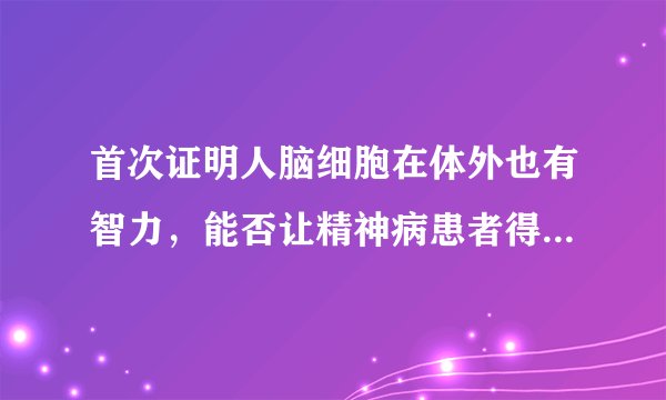 首次证明人脑细胞在体外也有智力，能否让精神病患者得到有效治疗吗？