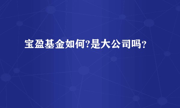 宝盈基金如何?是大公司吗？