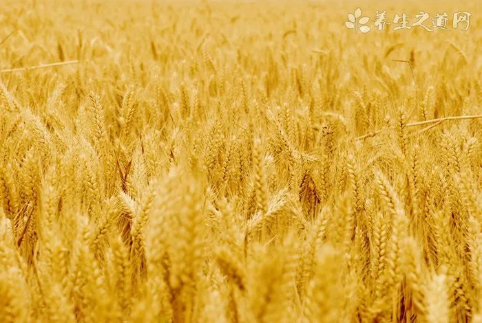 香蕉面膜的危害是什么 香蕉面膜的步骤