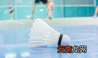 戴资颖个人资料简介 戴资颖介绍