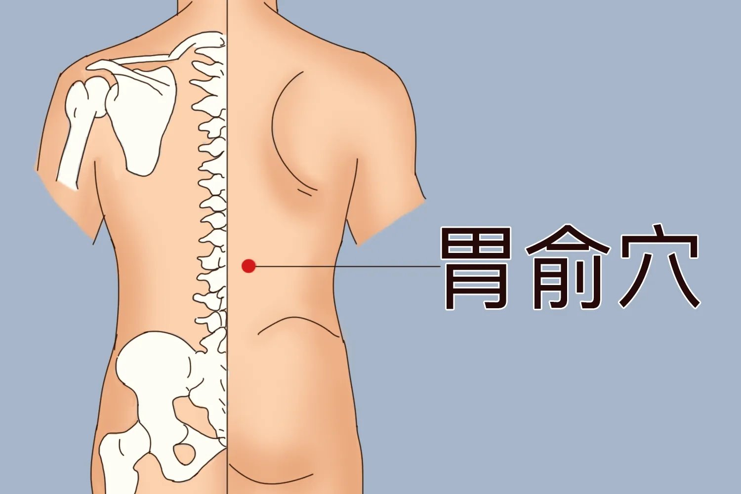 正确宫寒拔罐位置图