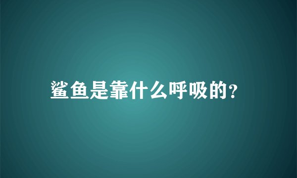 鲨鱼是靠什么呼吸的？