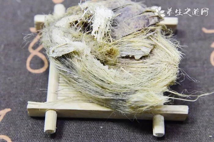 金毛寻回犬掉毛程度，这些说法并不夸张