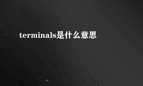 terminals是什么意思
