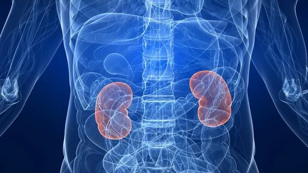 尿酸性肾病的病因都有哪些 尿酸性肾病该如何进行护理