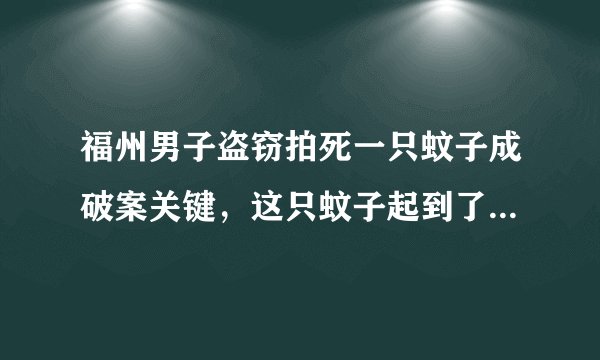 福州男子盗窃拍死一只蚊子成破案关键，这只蚊子起到了怎样的作用？