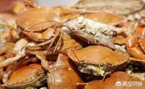 去海岛旅行，有哪些要注意的事项？