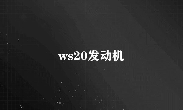ws20发动机