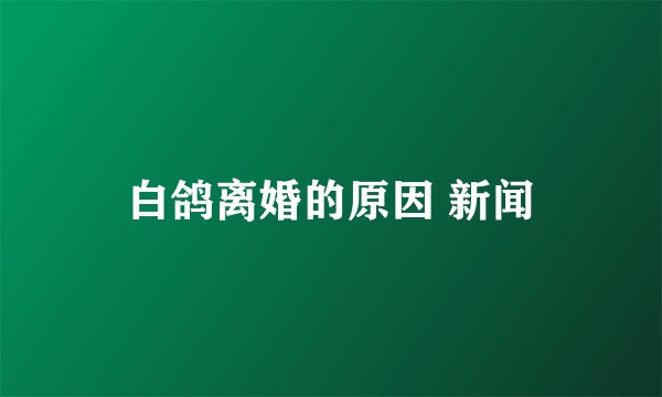 白鸽离婚的原因 新闻