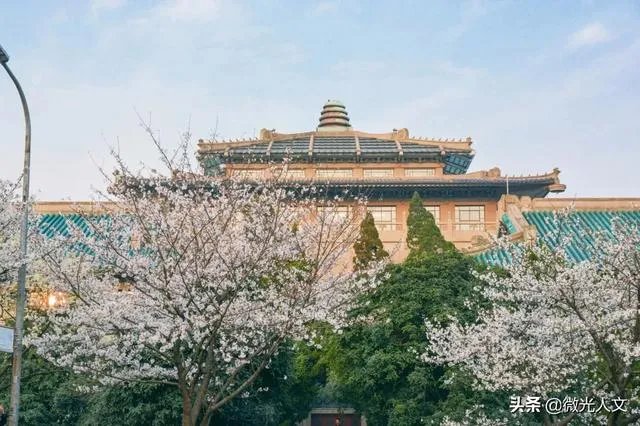 武汉大学通知本科生5.25线上答辩，是不是意味着武汉市的大学这学期不会开学了？