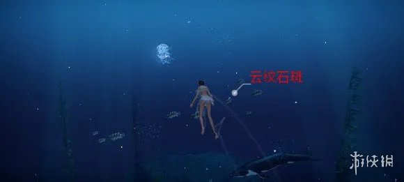 《天谕手游》鱼类图鉴大全 沉船附近鱼类位置一览