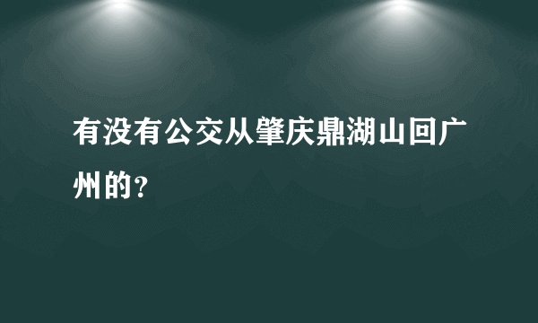 有没有公交从肇庆鼎湖山回广州的？