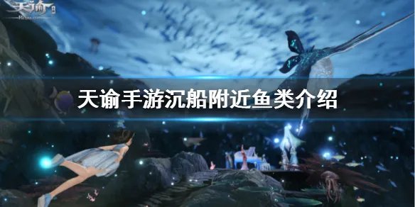 《天谕手游》鱼类图鉴大全 沉船附近鱼类位置一览