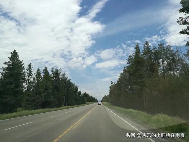 第一次来美国科罗拉多大峡谷如何玩？