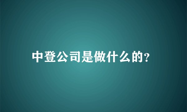 中登公司是做什么的？