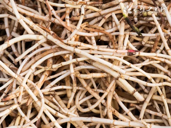 如何丰胸最有效 明星手把手教你丰胸秘籍