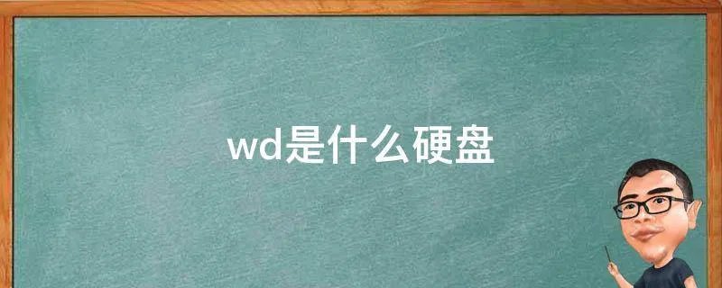 wd是什么硬盘