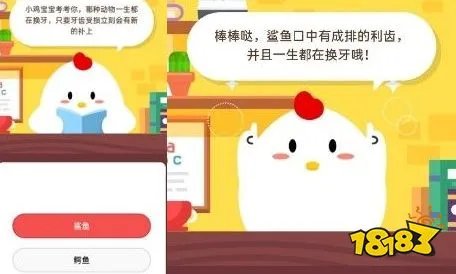 哪种动物一生都在换牙只要牙齿受损立刻会有新的补上 蚂蚁庄园答题攻略