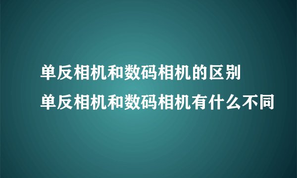 单反相机和数码相机的区别 单反相机和数码相机有什么不同
