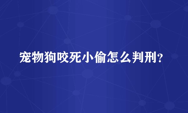 宠物狗咬死小偷怎么判刑？