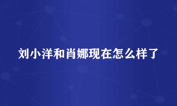 刘小洋和肖娜现在怎么样了