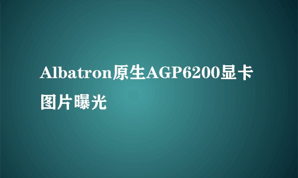 Albatron原生AGP6200显卡图片曝光