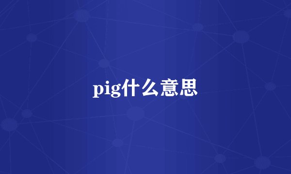 pig什么意思