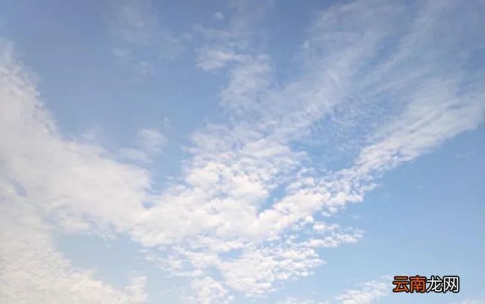 七夕单身狗发的搞笑朋友圈文案 单身狗幽默句子