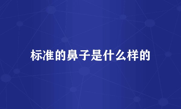 标准的鼻子是什么样的