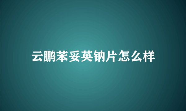云鹏苯妥英钠片怎么样