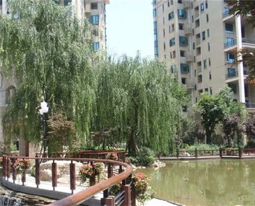 成都恒大绿洲属于哪个社区