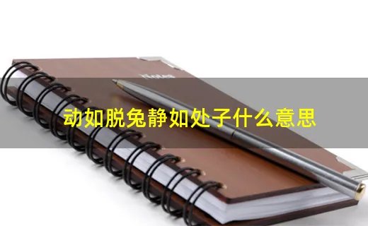 动如脱兔静如处子什么意思