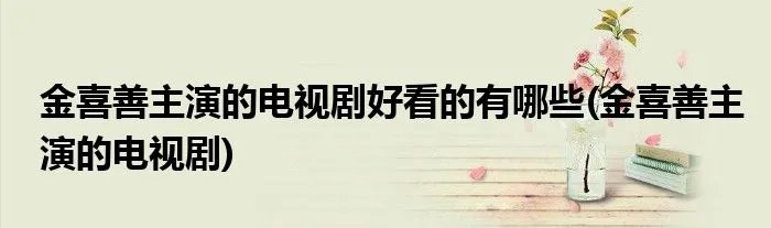 金喜善主演的电视剧好看的有哪些(金喜善主演的电视剧)