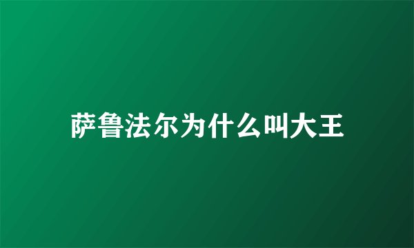 萨鲁法尔为什么叫大王