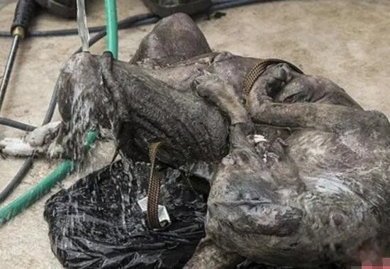 吸血怪兽奇玛伊拉 美国吸血兽到底是什么