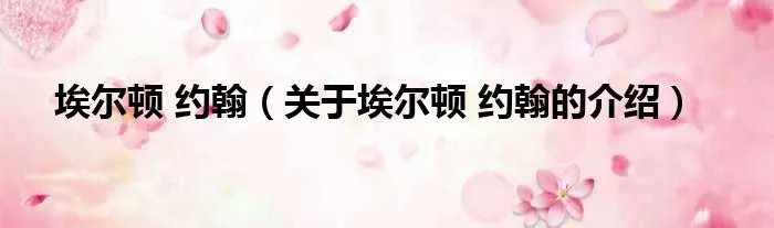 埃尔顿 约翰（关于埃尔顿 约翰的介绍）