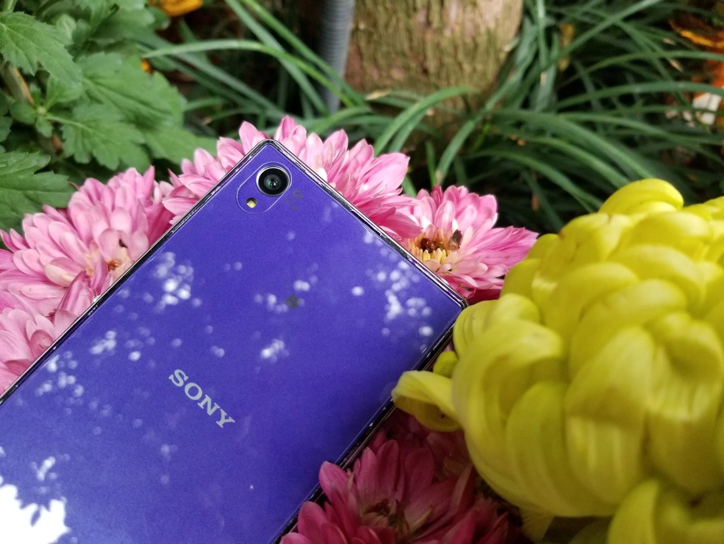 索尼xperia z1测评（骁龙800处理器+3000毫安电池是不是很牛）