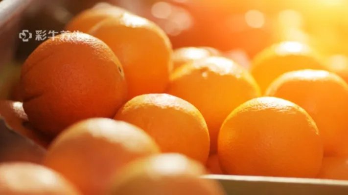 雪桔子的功效与作用